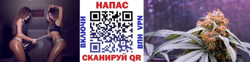 Сколько стоит Чистополь Бошки Шишки