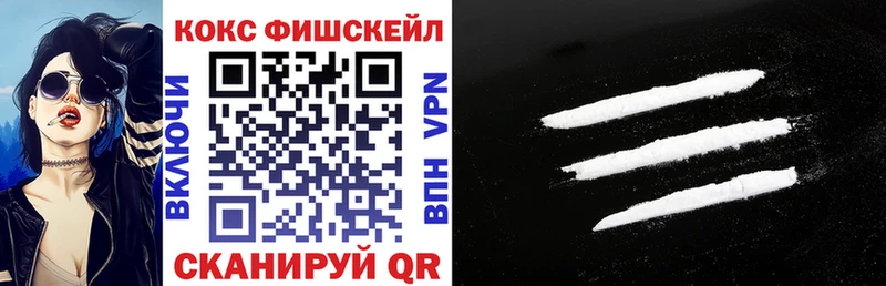 Кокаин Эквадор  MEGA   мориарти какой сайт  Чистополь 