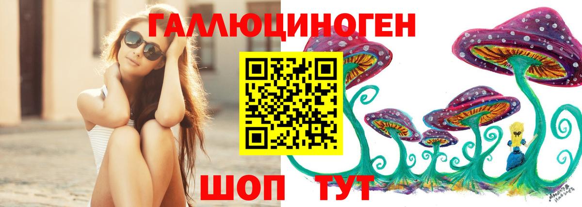 Псилоцибиновые грибы мухоморы  Вход с VPN  Чистополь  Псилоцибиновые грибы GOLDEN TEACHER 